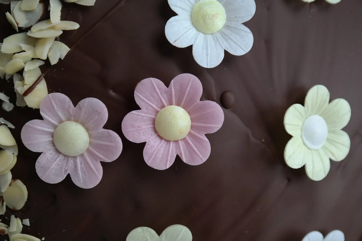 Gâteau au chocolat moelleux ou fondant : comprendre la différence avant de se lancer