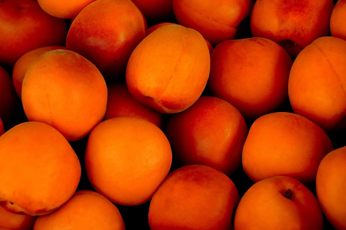 Choisir les fruits et gérer leur eau : le vrai casse-tête